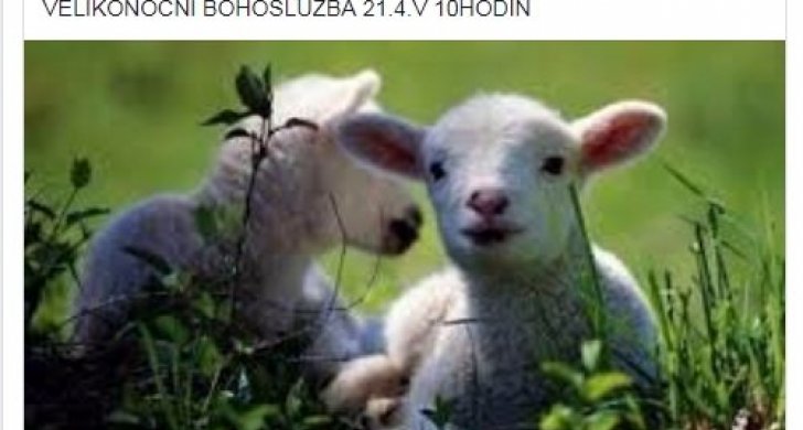 Církev bez hranic.jpg